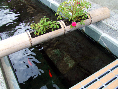 DSCF3095.jpg